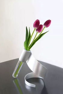 做一個專業的 花瓶 好么