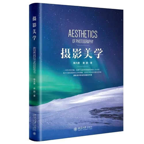 攝影美學 捕捉美的要點與藝術本質