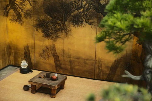 感悟丨懂點美學，生活不再潦草